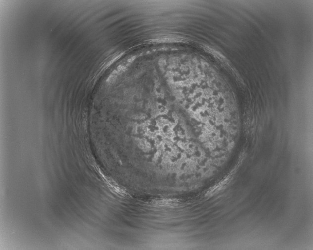 X0000055980833200509091951