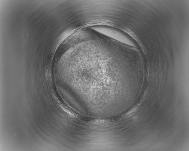 X0000055980834200509091951