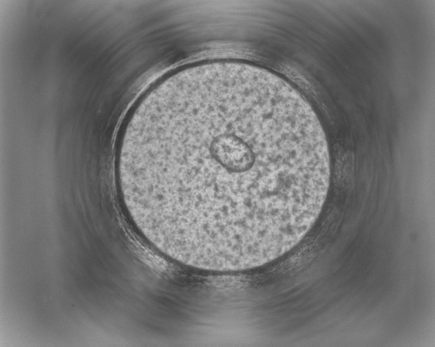 X0000055980836200509091951