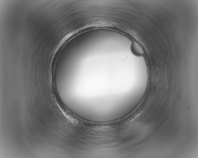 X0000055980837200509091951