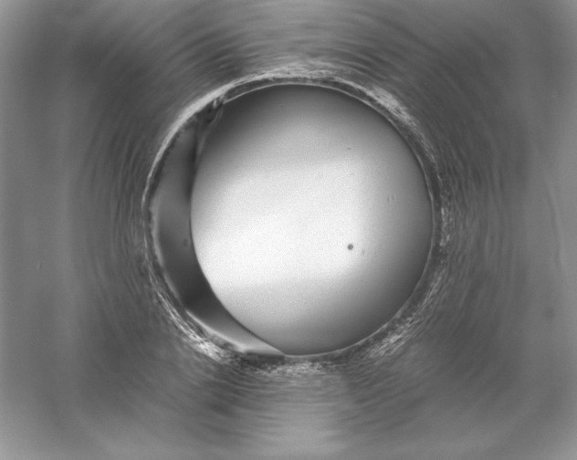 X0000055980838200509091951