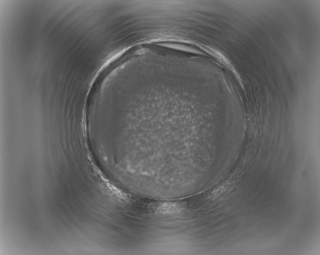 X0000055980839200509091951