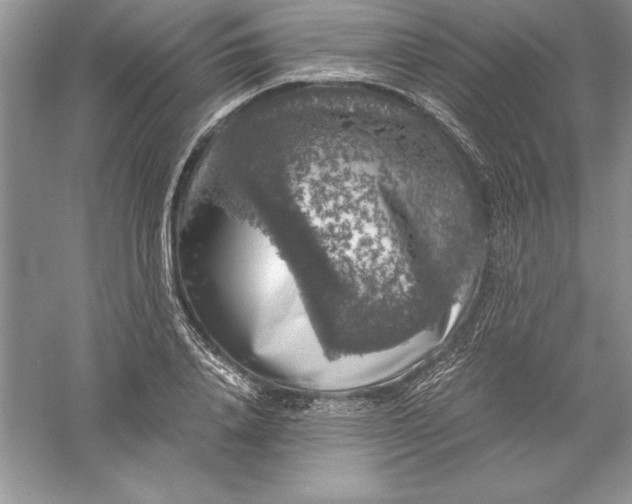 X0000055980840200509091951