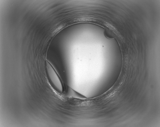 X0000055980841200509091951