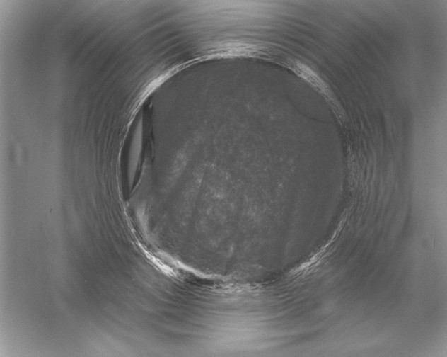 X0000055980842200509091951