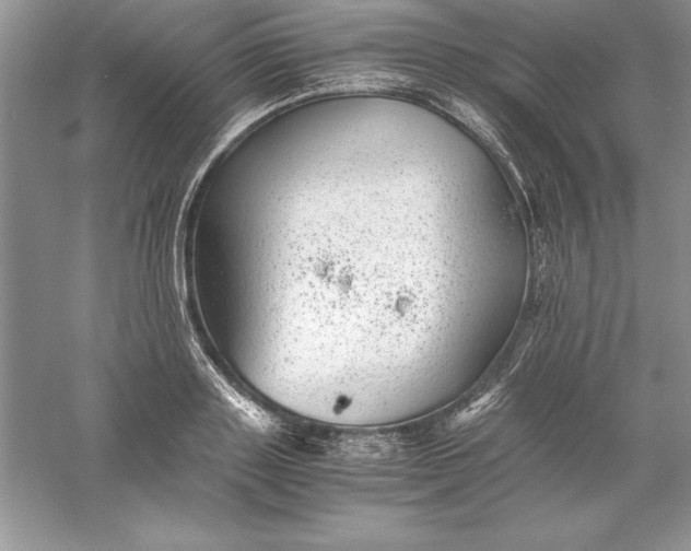 X0000055980843200509091951