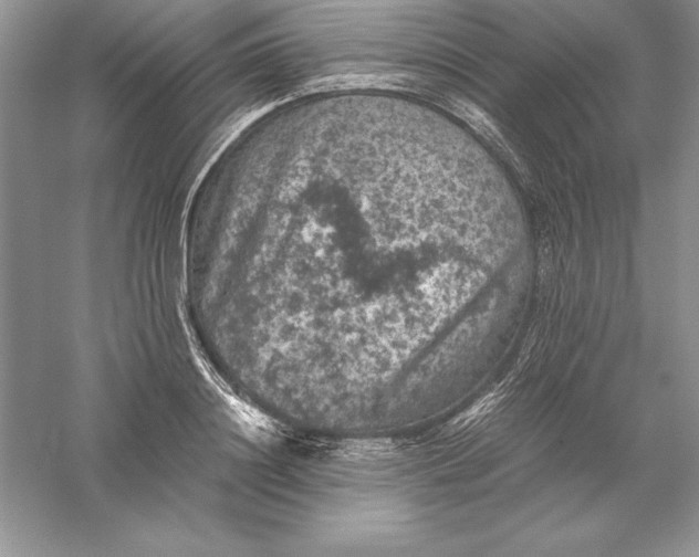 X0000055980844200509091951