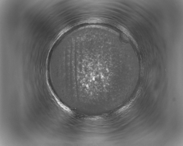 X0000055980845200509091951