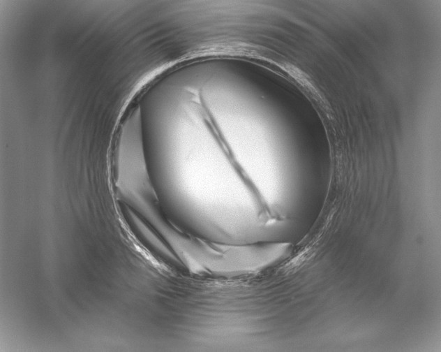 X0000055980846200509091951