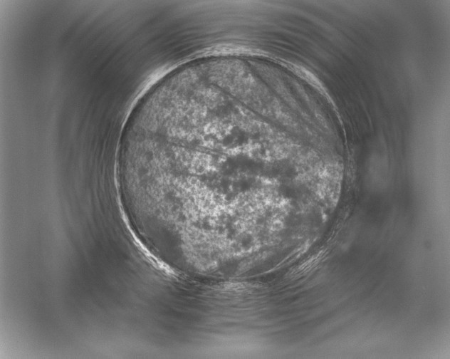 X0000055980847200509091951