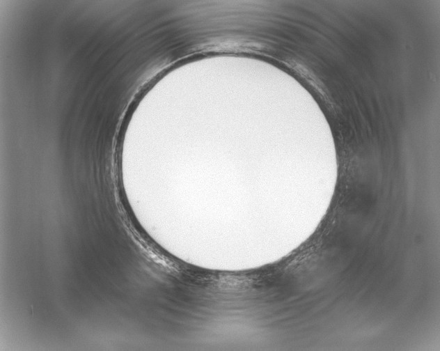 X0000055980848200509091951