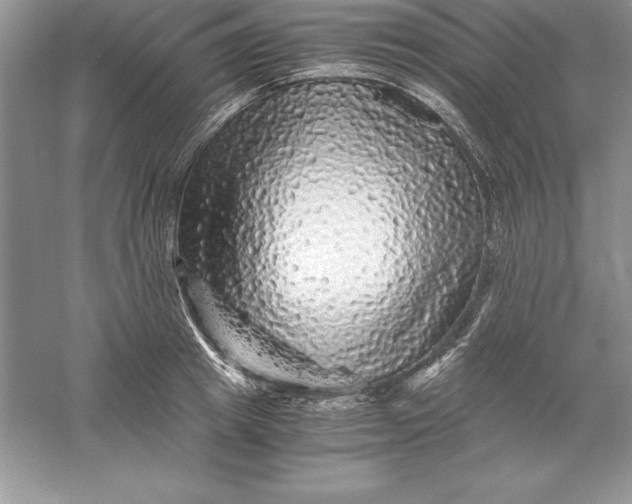 X0000055980849200509091951