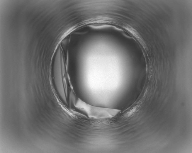 X0000055980850200509091951