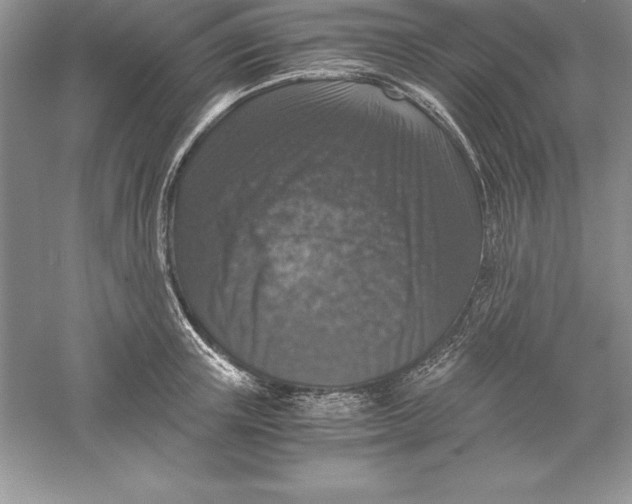 X0000055980851200509091951