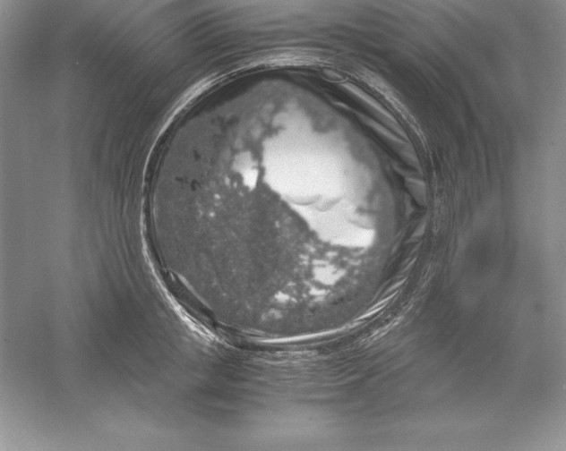 X0000055980853200509091951