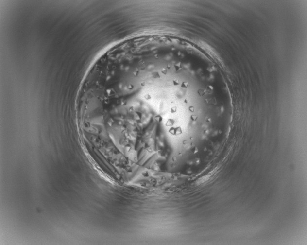 X0000055980854200509091951