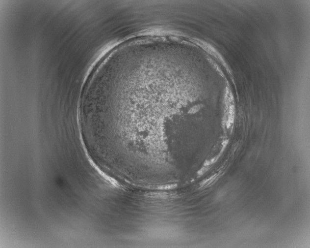 X0000055980855200509091951