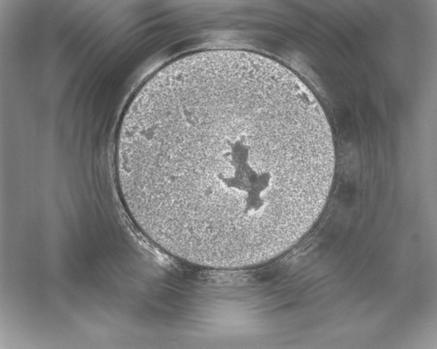 X0000055980856200509091951