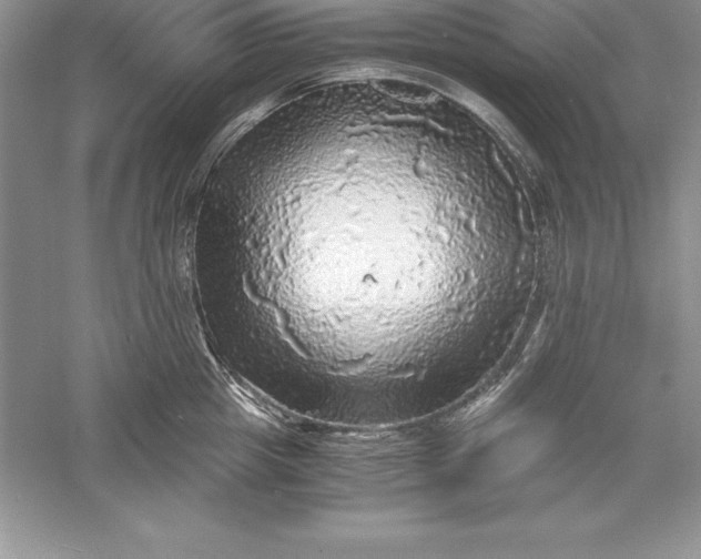 X0000055980857200509091951