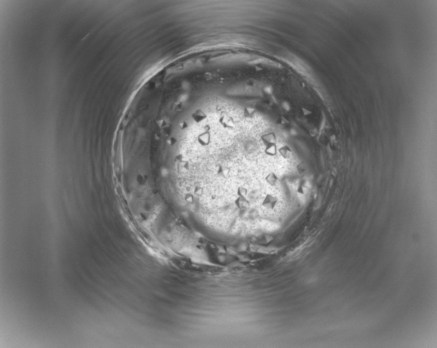 X0000055980858200509091951