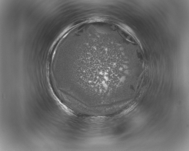 X0000055980859200509091951