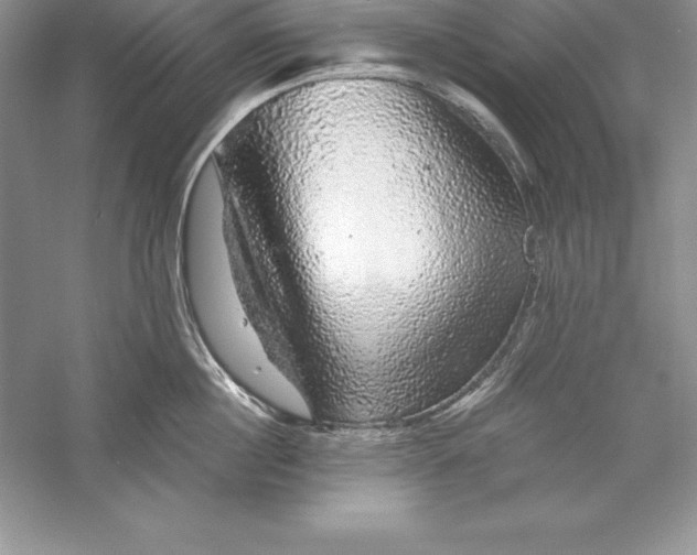 X0000055980860200509091951