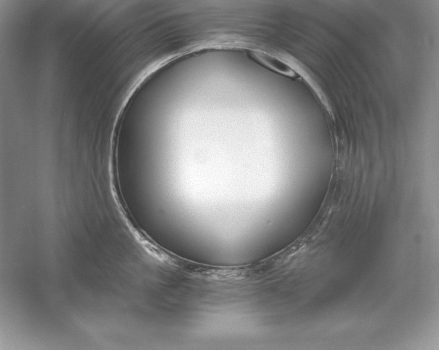 X0000055980861200509091951