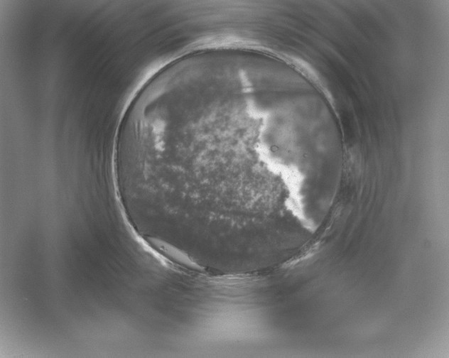 X0000055980863200509091951