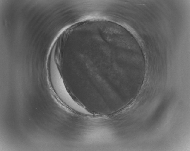 X0000055980864200509091951