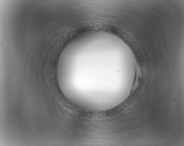 X0000055980865200509091951