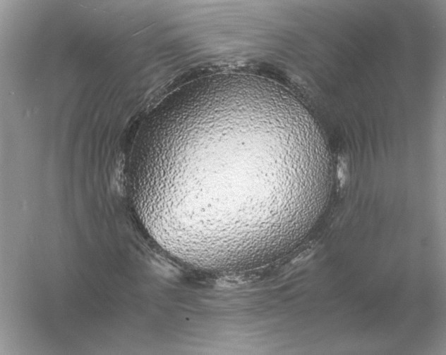 X0000055980867200509091951