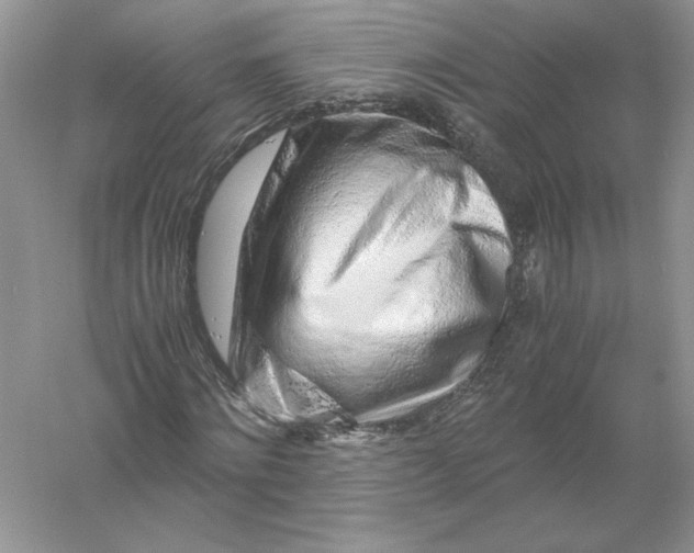 X0000055980868200509091950