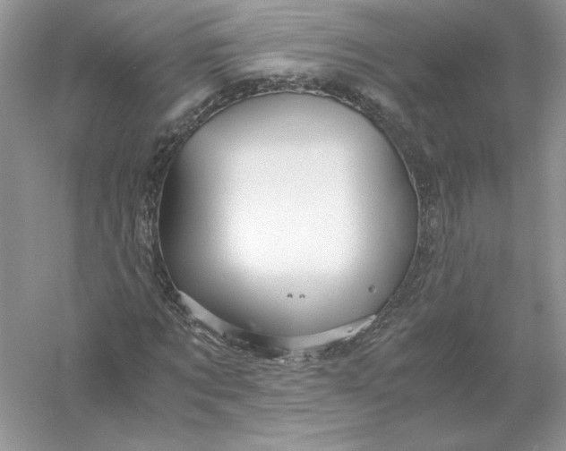 X0000055980869200509091950