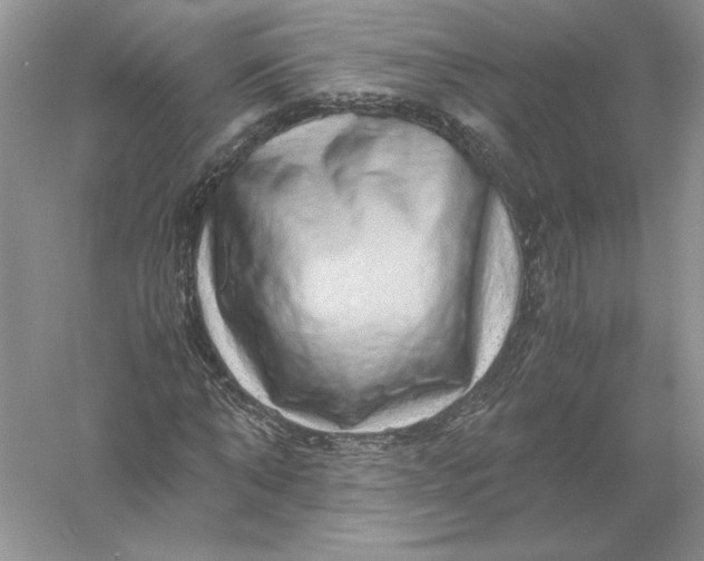 X0000055980870200509091950