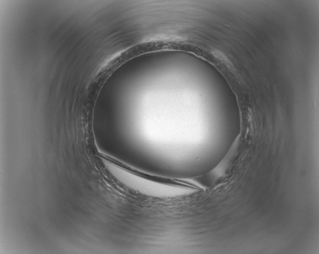 X0000055980872200509091950