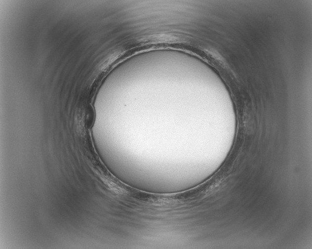 X0000055980873200509091950