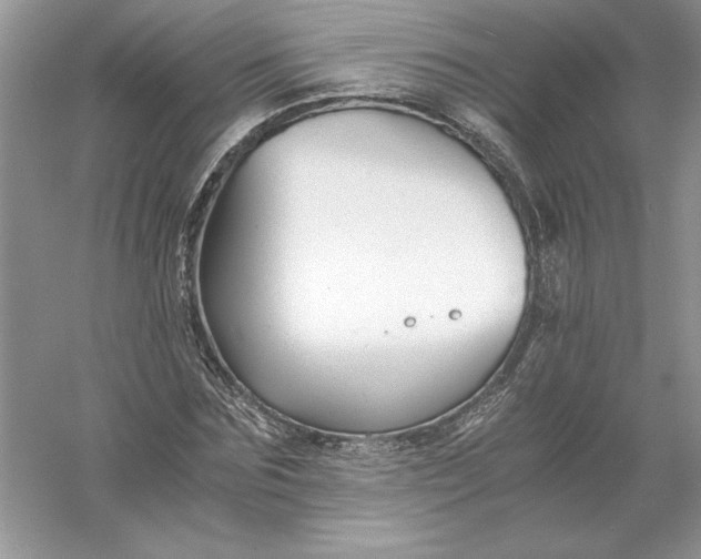 X0000055980875200509091950