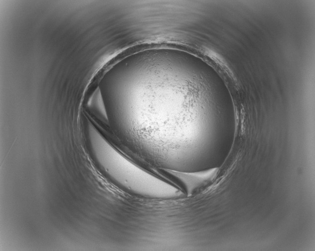 X0000055980876200509091950