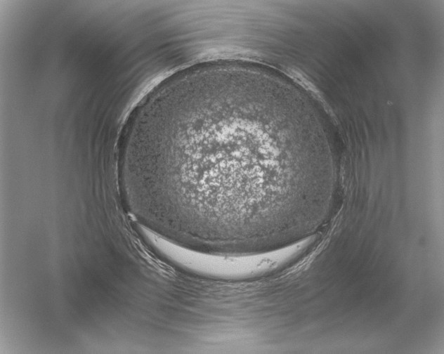 X0000055980877200509091950