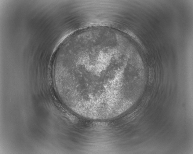 X0000055980878200509091950