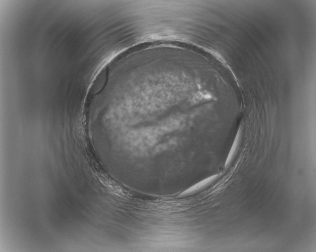 X0000055980879200509091950