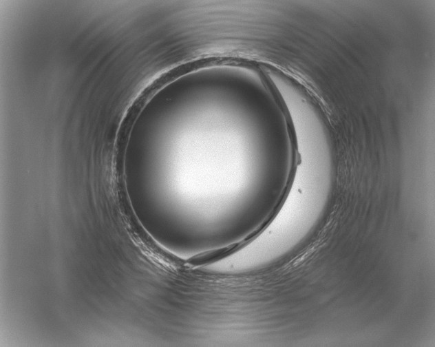 X0000055980880200509091950