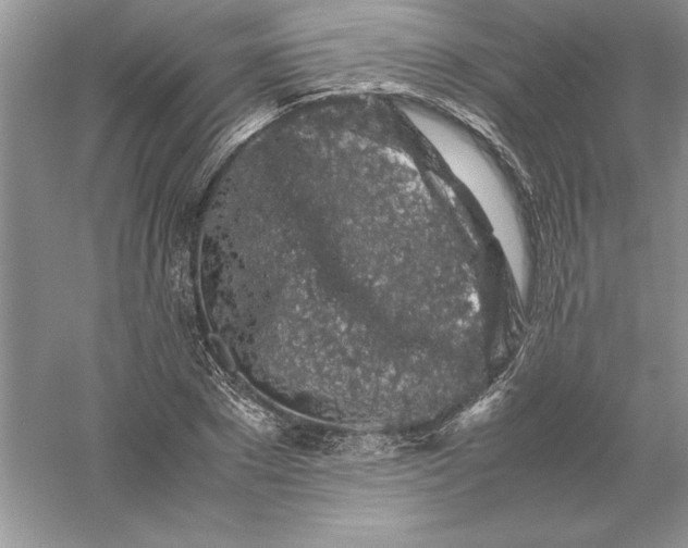 X0000055980881200509091950