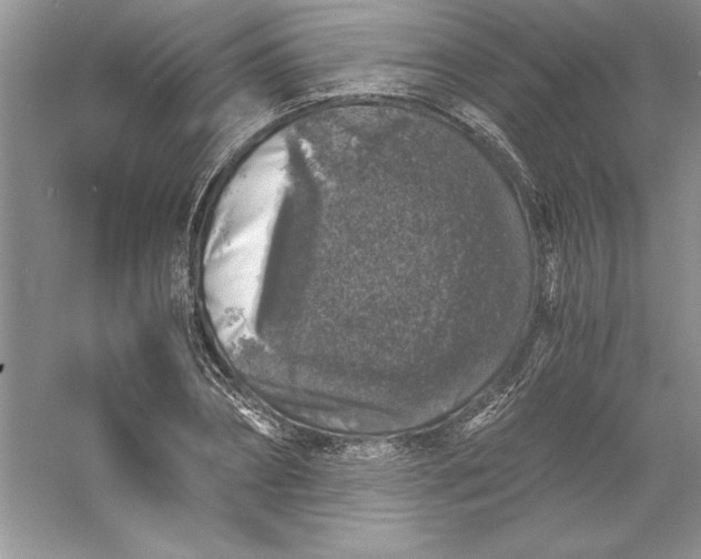 X0000055980882200509091950