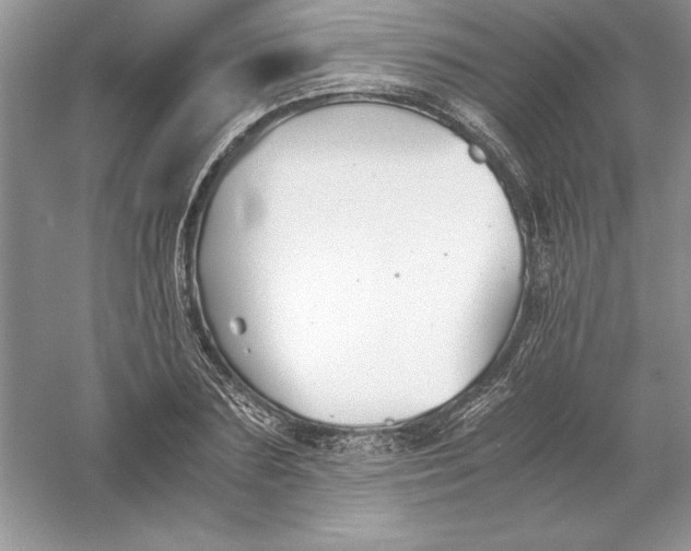 X0000055980883200509091950