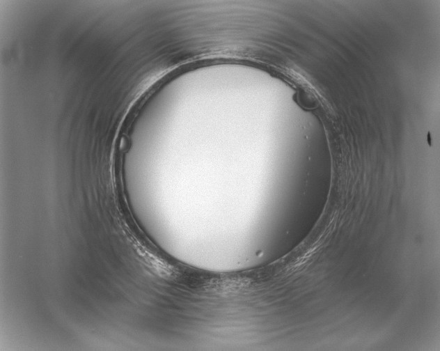 X0000055980884200509091950