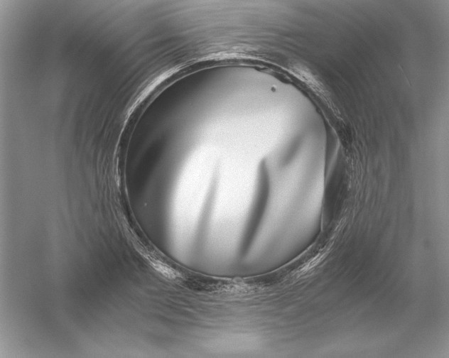 X0000055980885200509091950