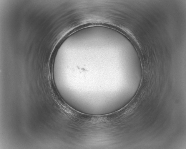 X0000055980887200509091950