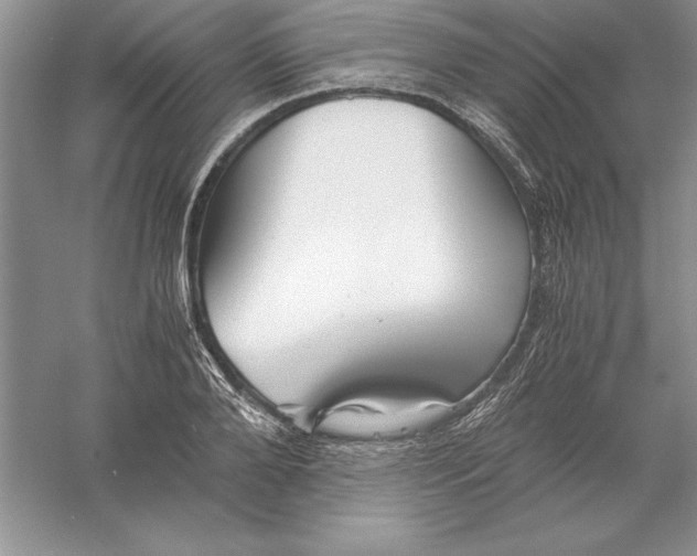 X0000055980888200509091950