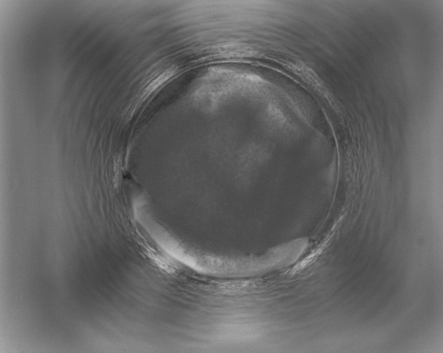 X0000055980889200509091950